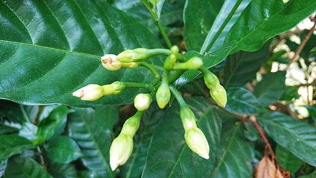 EA 550亿美元卖身 彭博社称将背负200亿债务、网络上骂声一片